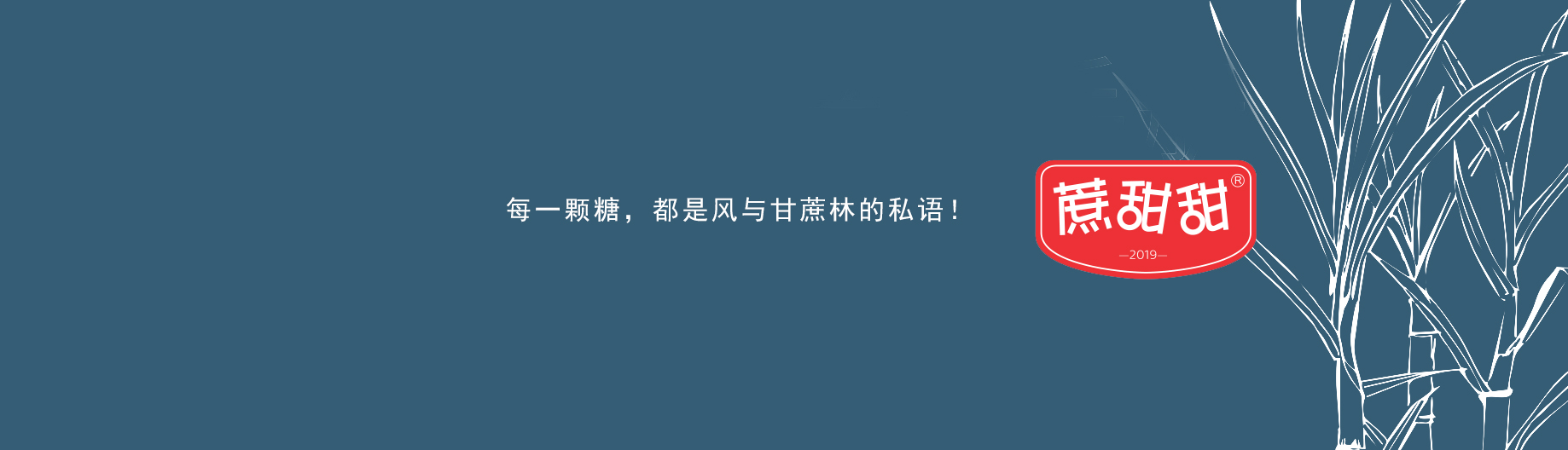 用户封面